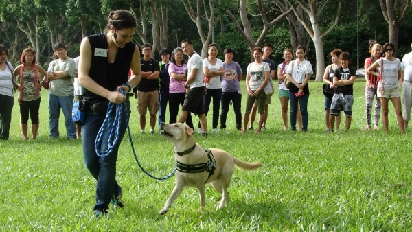 Carly Loyer, Palestrante do Seminário BAT – Brasil